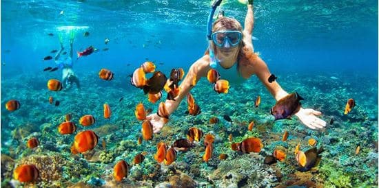 Cham Islands (Cu Lao Cham) 7