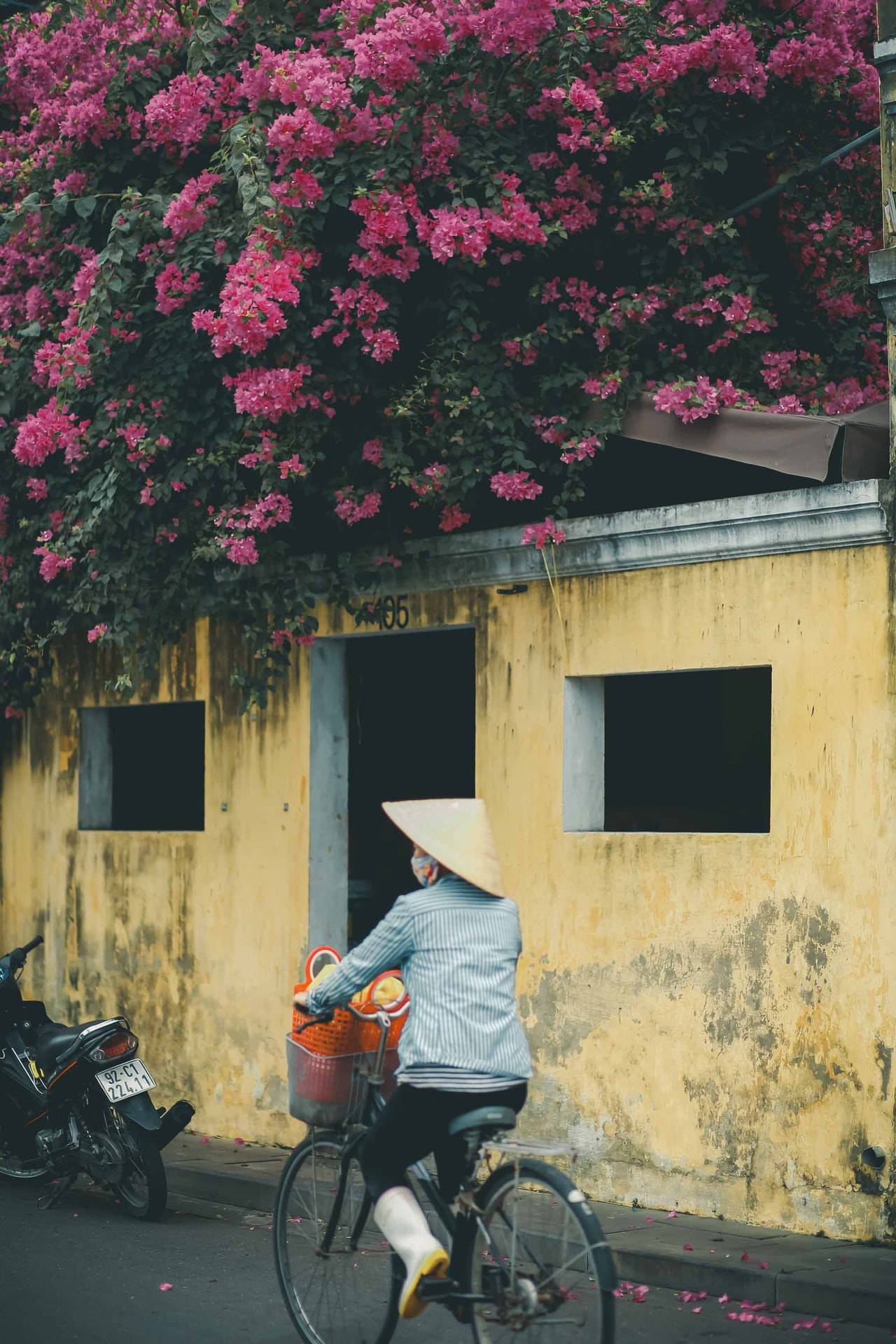 Hoi An Ancient Town gallery 11