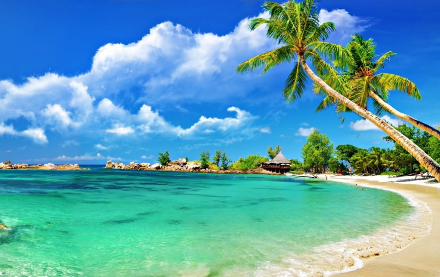 Cham Islands (Cu Lao Cham) gallery 5
