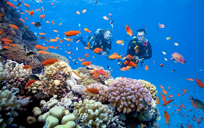 Cham Islands (Cu Lao Cham) gallery 6