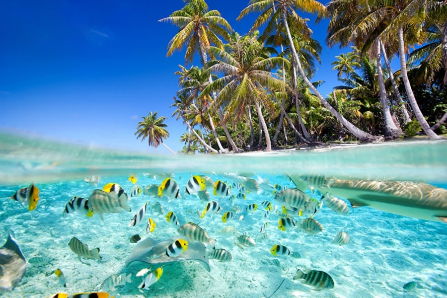 Cham Islands (Cu Lao Cham) gallery 11
